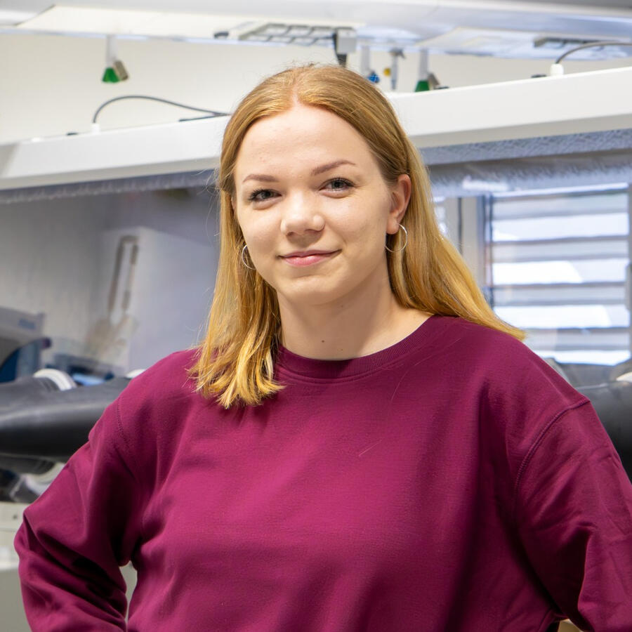 Graphic Designer / Marketing Expert